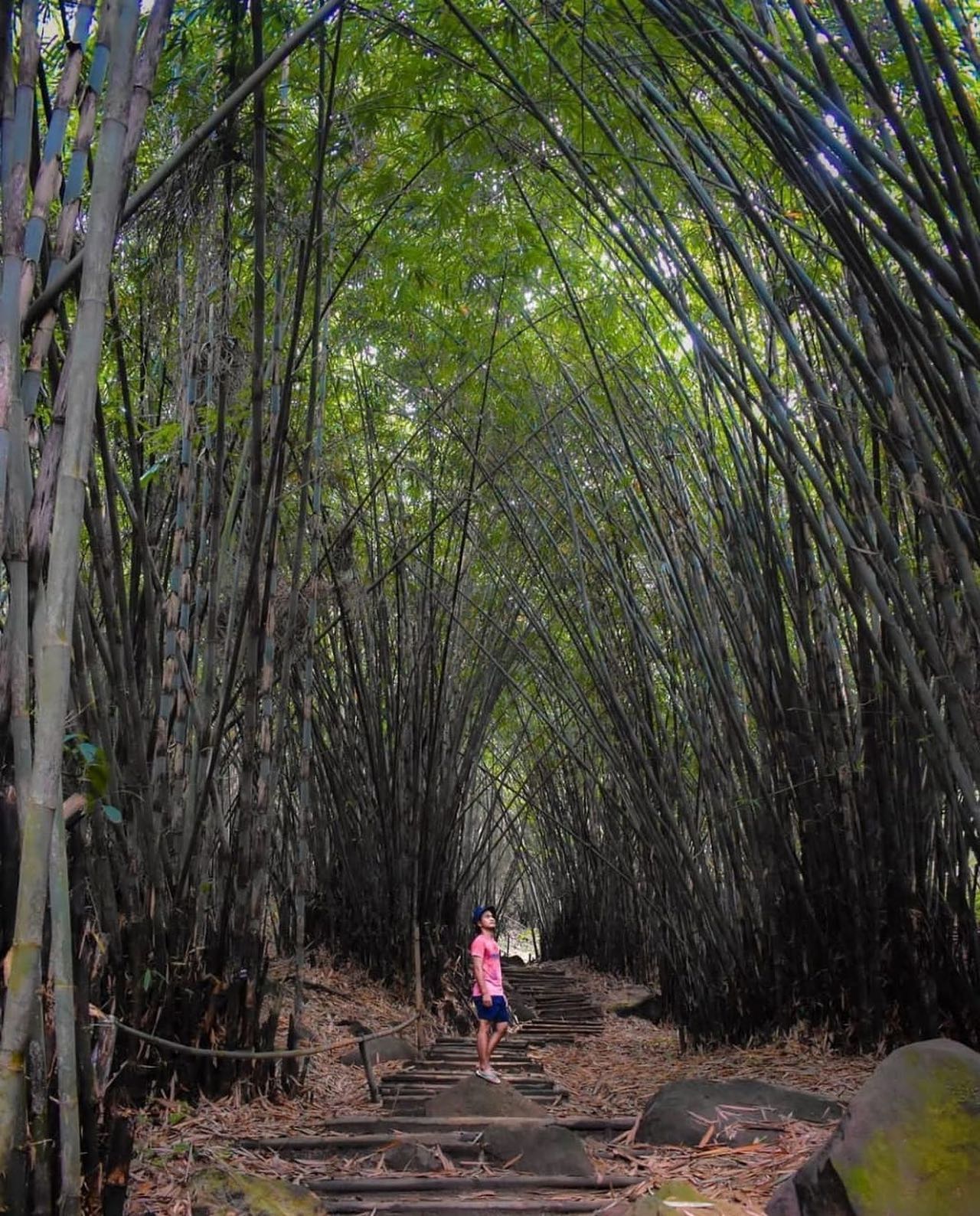 Rute Hiking Sentul terdekat dari Hegarmanah, Bekasi